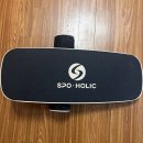 라이프 태권도장 | 초등 아들 겨울방학 준비, 가성비 좋은 스포홀릭 밸런스보드 (내돈내산)