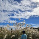 청구카부분정비 | 제주도 한달살이 제주공항 렌트카 롯데렌터카 G카 추천 후기