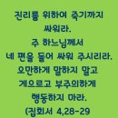 2024-06-23 연중 제12주일 ＜도대체 이분이 누구시기에 바람과 호수까지 복종하는가?＞ 이미지