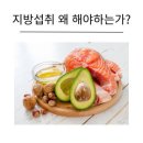 피네테스 이미지