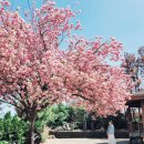 선흘1리낙선동경로당 이미지