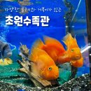 초원수족관