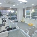 폴인럽 애견&고양이 미용 돌봄&호텔 이미지