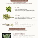 [샐리박스]노블 마유 랩핑 뉴트리 리페어 크림으로 피부에 보습을~~^^*