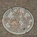 고대1096 | 나라 여행) 나라 1일 여행 완전 정복 코스! (🫎사슴공원· 나라호텔·도다이지)