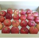 도연농원 이미지