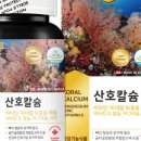 산호헬스 이미지