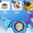펫니즈 이미지
