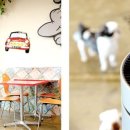 가나동물병원 이미지