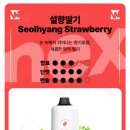 용원전자담배
