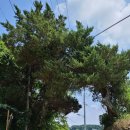 평화사우나 이미지