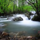 백운동계곡 이미지