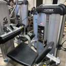 Cybex Prestige “8종” 판매합니다 이미지