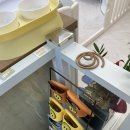 아르떼퍼피 이미지