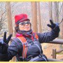 대공원입구로 이미지