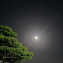 쫑말이네농장