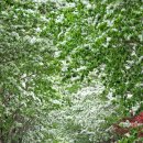 호길농장 이미지