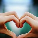 낭만시대 이미지