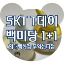 SKT T데이 백미당 1+1 쿠폰 사용법, 적용 메뉴 제한 및 내돈내산 솔직 후기