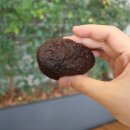 텐퍼센트커피부산시민공원점 이미지