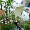 꽃피는마을 - 양주시 가래비길 90 | 꽃피는마을