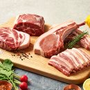 제주고기네서산예천점 | 서산 고기 맛집 제주고기네 서산예천점 서산 삼겹살 맛집 외식, 회식, 데이트 추천