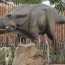 프로토케라톱스 이미지