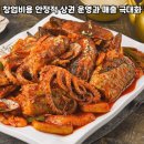 황금코다리 이미지