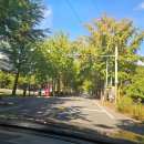 대장이랜드마을 이미지