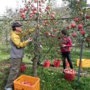 대흥농장 이미지