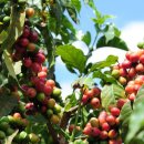 홈카페 핸드드립 이미지