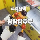 수락산역 팡팡탕후루 내돈내산 후기