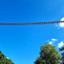 출렁다리(4) 이미지