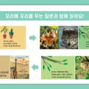 자연본심 네이버블로그