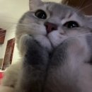 정락회관 | 목포부터 여수-순천 1박 2일(전현무계획)까지