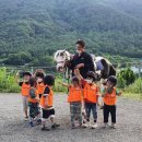 무척산관광농원 | [ 김해 목차 ]