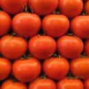 우마미(umami) 이미지