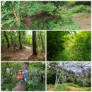 원전 보건진료소 이미지