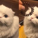 오늘더예뻐 이미지