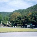 고곡 Daum카페