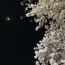 팽성수산