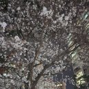 파리바게뜨명서점