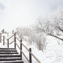 오대산신선희황기찐빵 이미지
