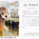 석동준 | 강아지 다리 / 탄이의 내측탈구3기 수술후기