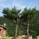 연하우스 이미지