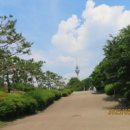 두류공원 이미지