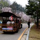 이천 도자기축제|저작권없는이미지 ,,,,,,, 이미지