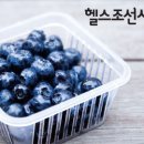 슈퍼푸드 블루베리 이미지