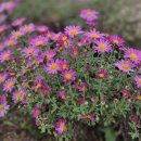 의료법인 인봉의료재단 이미지