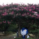(주)한양사인
